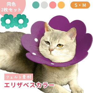 yMILASICztFgGUxXJ[ 2Zbg GUxXJ[ tFg L ybg ˂ lR ɂ񂿂 v[g p ی p  킢 \tg    