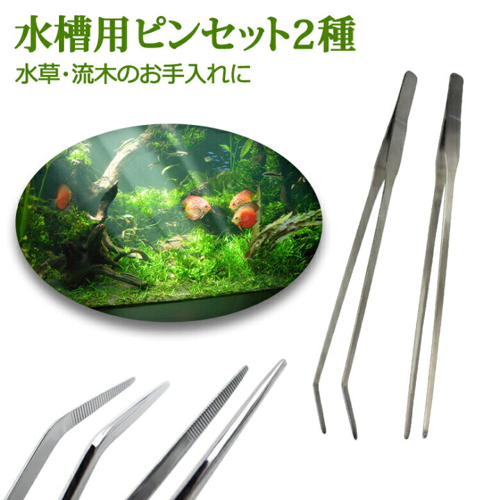 楽天市場】水槽用ピンセット2種 ピンセット 水槽 ストレート カーブ 2 