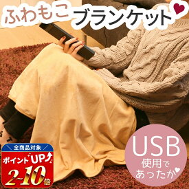USB ホット ブランケット 電気 ひざ掛け ひざかけ 暖かい 大判 タイマー タイマー機能 あったかグッズ 膝掛け ホットブランケット 電気ひざ掛け USBブランケット あったか あったかグッズ あったかルーム ルームグッズ 冬 冬物 車 車載 会社 オフィス