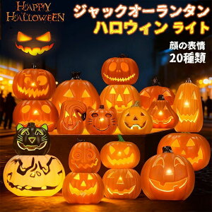 nEB ڂ Cg nEB  Cg WbNI[^ nEB  u ^ LED Cg ڂ 