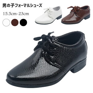 tH[}C j̎q tH[}V[Y LbY [t@[ q V[Y j WjA RC V`bv Ǝ w   ʊw ܎O  Xe[W Cxg  15.5 16 17 1