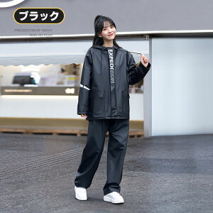 CEFA CX[c ㉺Zbg fB[X Y Εt  tFCXJo[ 炪ʂȂ CR[g ] oCN 傫TCY ʋ ʊw WjAw AEghA H 