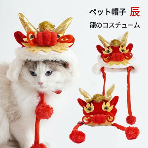 ペット帽子 辰 猫 小型犬 龍 ドラゴン コスチューム 被り物 犬用 コスプレ 可愛い 面白い 暖かい 冬用 防寒 正月 新年 2024干支 竜年 動物 仮装 撮影 パーティー ペット用品 ハロウィン クリス