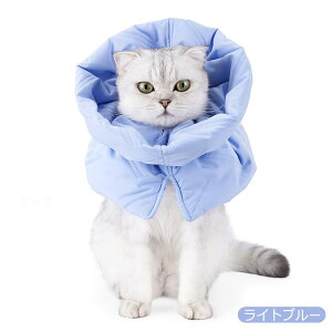 GUxXJ[ Lp p \tg ybg }t[ rߖh~ p g h _炩 y ȓ TCY߉ \tg lR ȒP Lp ی  pPA   D