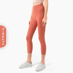 KMX   fB[X KEFA  i X|[c MX K Kpc r  Dڂ̂Ȃ V[X r X|[cEFA seBXEFA se