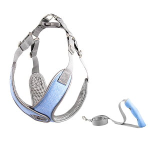  n[lX Sy  ^ ^ V [ht  [hZbg U o y K ȒP Ȃ ₷ ߕtȂ i߂Ȃ ` v[h Č R[M[ 