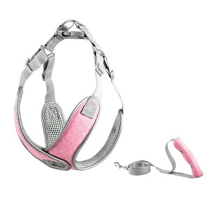  n[lX Sy  ^ ^ V [ht  [hZbg U o y K ȒP Ȃ ₷ ߕtȂ i߂Ȃ ` v[h Č R[M[ 