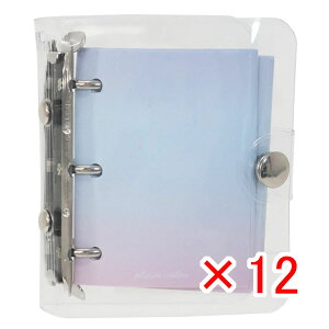 y ܂Ƃߔ ×12Zbg z u  PLAIN COLOR oC_[ ubN v y  z y yV MVP & ԗDǃVbv _uܓX z