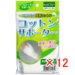 y ܂Ƃߔ ×12Zbg z u RbgT|[^[ ̍bt[TCY i1j v y  z y yV MVP & ԗDǃVbv _uܓX z