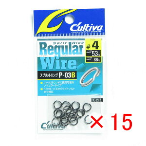 y ܂Ƃߔ ×15Zbg z u OWNER I[i[ JeBo XvbgO M[C[B 4SE P03B v y yV MVP & ԗDǃVbv _uܓX z ދ ނ ނpi