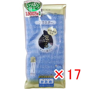 y ܂Ƃߔ ×17Zbg z u AX^[ {fB^I  u[ 1 v y  z y yV MVP & ԗDǃVbv _uܓX z