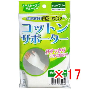 y ܂Ƃߔ ×17Zbg z u RbgT|[^[ ̍bt[TCY i1j v y  z y yV MVP & ԗDǃVbv _uܓX z