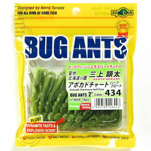 u GRMA Ecogear [ oOAc 2C` #434 A{Jh`[gn[tt[g v y  z y yV MVP & ԗDǃVbv _uܓX z ދ ނ ނpi