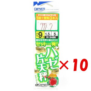 y ܂Ƃߔ ×10Zbg z u OWNER I[i[ n[ ГV 1g 9 v y yV MVP & ԗDǃVbv _uܓX z ދ ނ ނpi