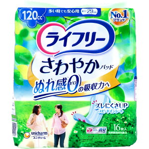 y ܂Ƃߔ12Zbg z Ct[ ₩pbh łSp 120CC 16 y  z