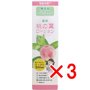 y ܂Ƃߔ3Zbg z p ̗t[V 300mL y  z