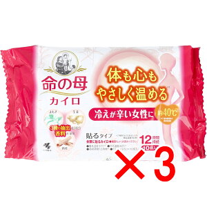 y ܂Ƃߔ3Zbg z ̕JC \^Cv 12 10 y  z