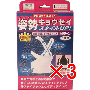 y ܂Ƃߔ3Zbg z pxg J^[N p LTCY y  z