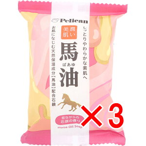 y ܂Ƃߔ3Zbg z t@~[Ό n ̂Ȃ̐Ό̍ 80g y  z