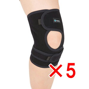 y ܂Ƃߔ5Zbg z j[XL[I[v ЂpT|[^[ ubN MTCY y  z