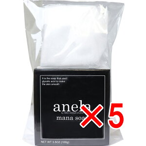 y ܂Ƃߔ5Zbg z anela Al }i\[v(Aălbgt) 100g y  z