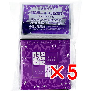 y ܂Ƃߔ5Zbg z p ΂ (Aălbgt) 100g y  z