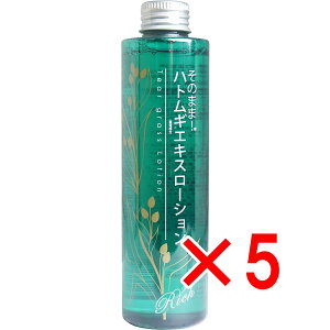 y ܂Ƃߔ5Zbg z ̂܂܁I ngMGLX[V b` 200mL y  z