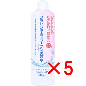 y ܂Ƃߔ5Zbg z ґPvZ^R[Qe 500mL y  z