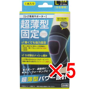 y ܂Ƃߔ5Zbg z ^ŒT|[^[ Ђp(Ep) LTCY 1 y  z