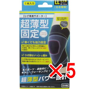 y ܂Ƃߔ5Zbg z ^ŒT|[^[ Ђp(Ep) LLTCY 1 y  z