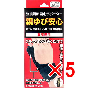 y ܂Ƃߔ5Zbg z xߌŒT|[^[ eшS Ep t[TCY ubN 1 y  z