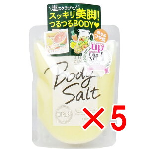 y ܂Ƃߔ5Zbg z W[VBNY {fB\g VgX 300g y  z