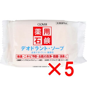 y ܂Ƃߔ5Zbg z pΌ fIhg\[v 90g y  z