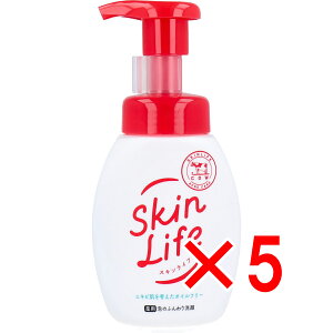 y ܂Ƃߔ5Zbg z XLCt p Âӂ VgXu[P̍ |v 160mL y  z