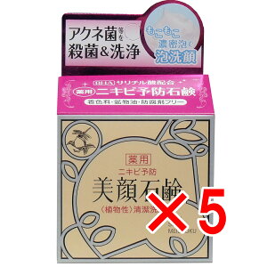 y ܂Ƃߔ5Zbg z FΌ p 80g y  z