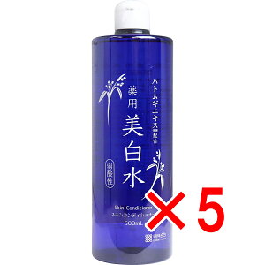 y ܂Ƃߔ5Zbg z ᐟ p 500mL y  z