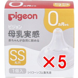 y ܂Ƃߔ5Zbg z sW  0 SSTCY ی 1 y  z