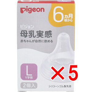 y ܂Ƃߔ5Zbg z sW  6 LTCY Y` 2 y  z