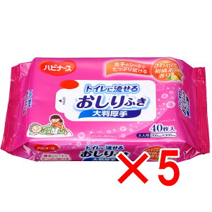 y ܂Ƃߔ5Zbg z nri[X gCɗ邨ӂ 唻 40 y  z