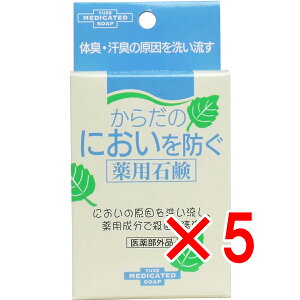 y ܂Ƃߔ5Zbg z 炾̂ɂhpΌ 110g y  z