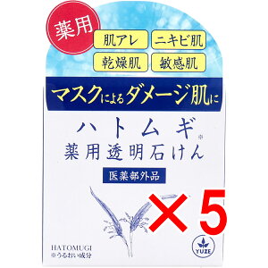 y ܂Ƃߔ5Zbg z [ ngM p΂ 90g y  z