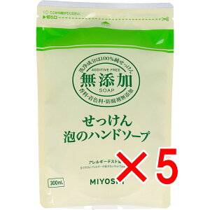 y ܂Ƃߔ5Zbg z Y Ãnh\[v tB 300mL y  z