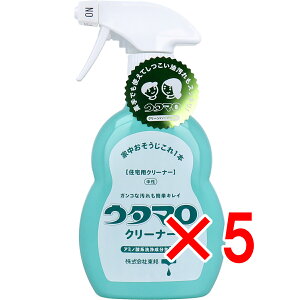 y ܂Ƃߔ5Zbg z E^} N[i[ ZpN[i[ { 400mL y  z