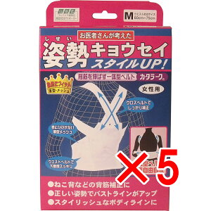 y ܂Ƃߔ5Zbg z pxg J^[N p MTCY y  z