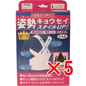 y ܂Ƃߔ5Zbg z pxg J^[N p LTCY y  z