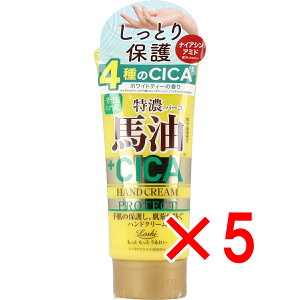 y ܂Ƃߔ5Zbg z bVCXgGCh YnCICA veNgnhN[ 80g y  z