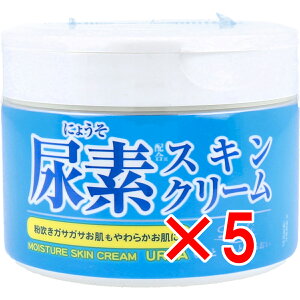 y ܂Ƃߔ5Zbg z bVCXgGCh AfXLN[ 220g y  z