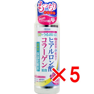 y ܂Ƃߔ5Zbg z qA_R[Qz _ ێϐ 185mL y  z