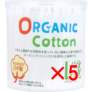 y ܂Ƃߔ5Zbg z Ct I[KjbNȖ_ 200{ y  z