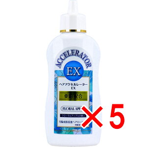 y ܂Ƃߔ5Zbg z wAANZ[^[EX t[Abv̍ 150mL y  z